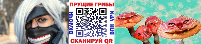 закладка  Лыткарино  KRAKEN ссылка  Галлюциногенные грибы Psilocybe 